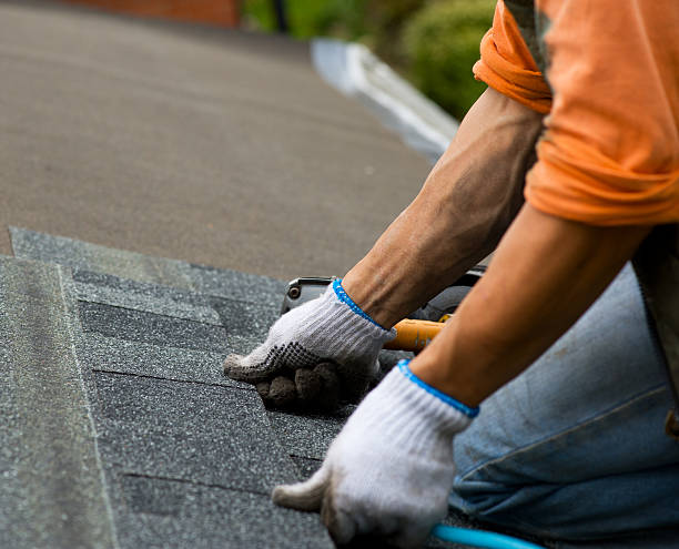 Best Roof Gutter Cleaning  in Warm Springs, OR